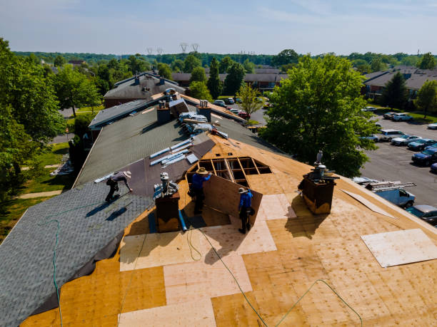 Trusted Roof Replacement service in Selma, VA - Brentwood Metal Roofing
